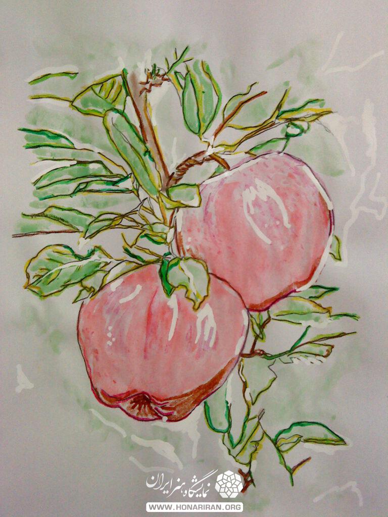 نقاشی شاخه سیب