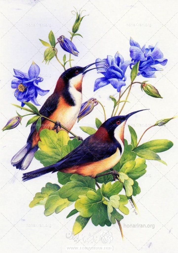 نقاشی گل و پرنده