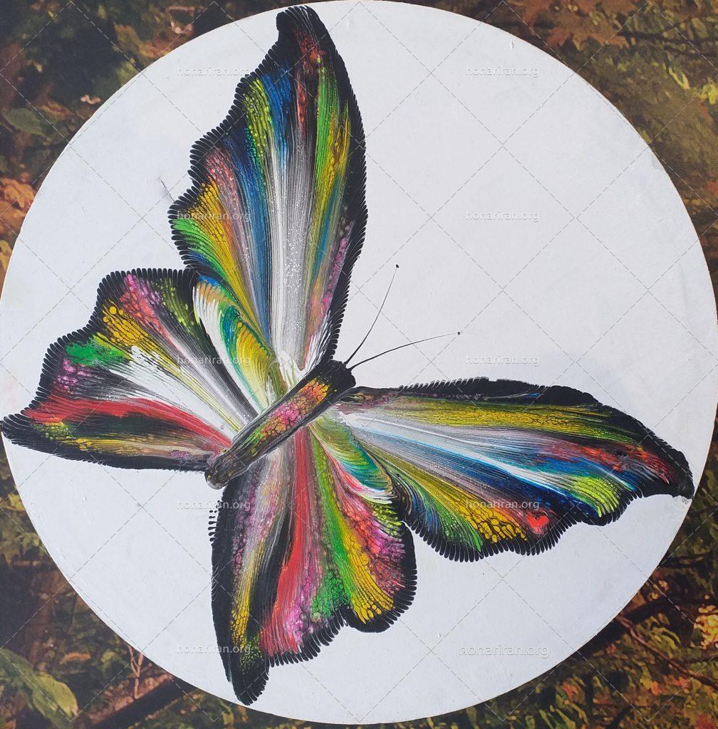 نقاشی پروانه عاشق