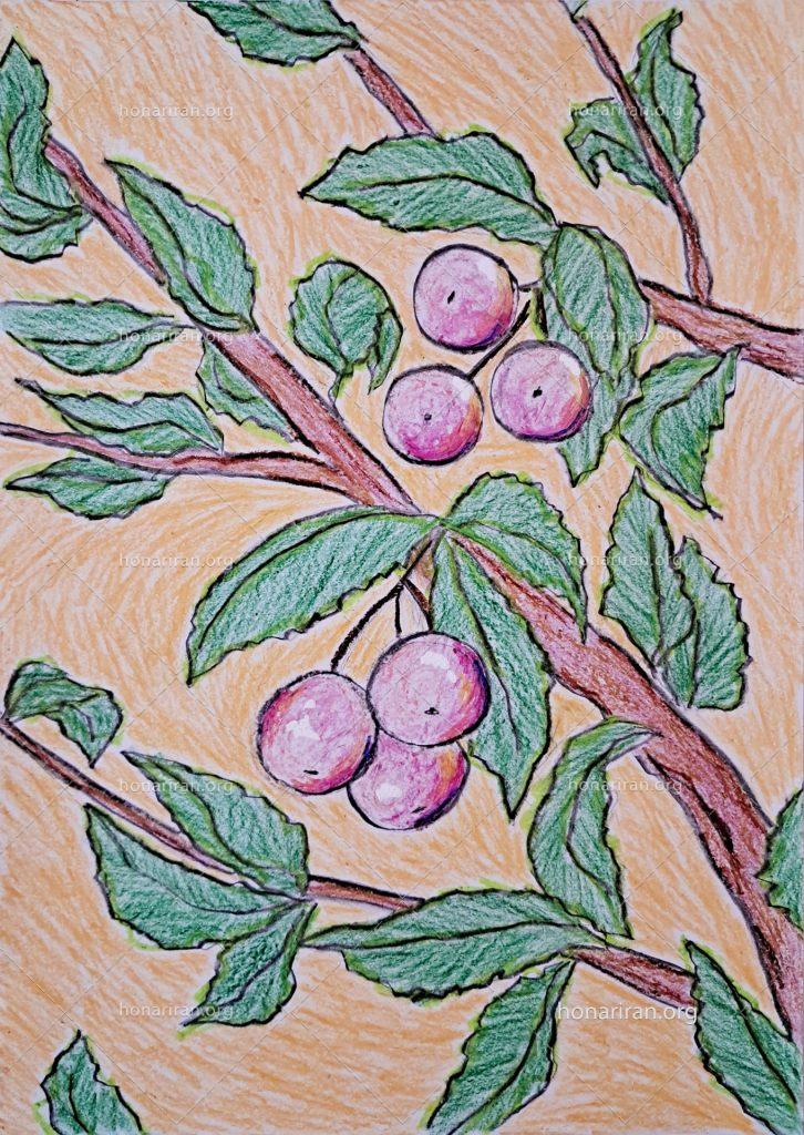 نقاشی میوه سرخ درختی