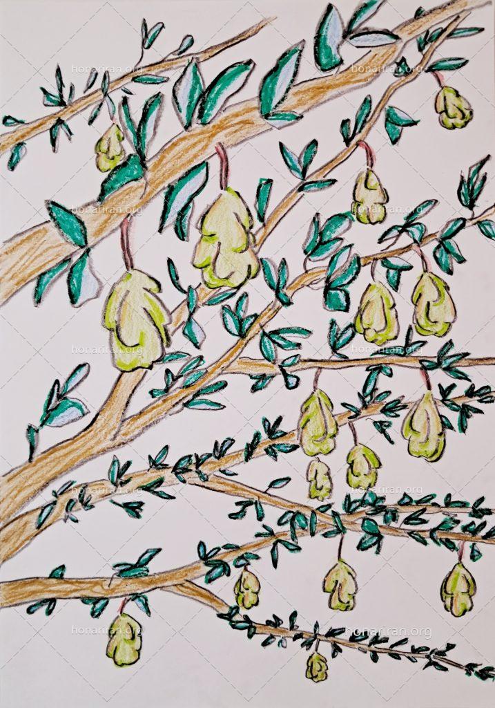 نقاشی درختان و میوه های درختی مداد رنگی