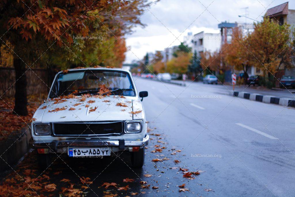 عکس با کیفیت ماشین پارک شده در زیر درخت