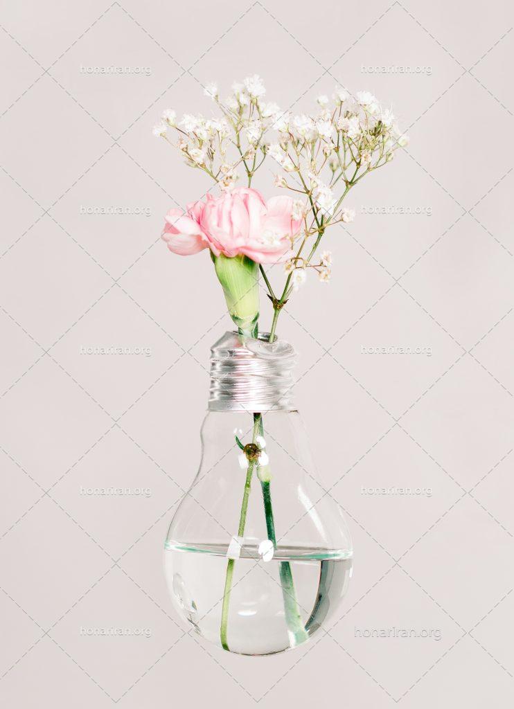 عکس با کیفیت گل های زیبا در لامپ