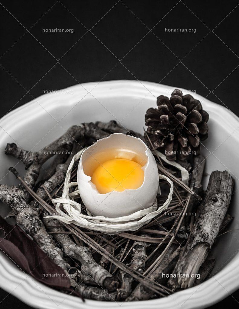 عکس با کیفیت تخم مرغ شکسته بر روی چوب های سیاه