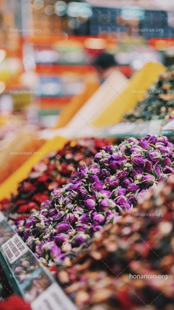 عکس با کیفیت گل های محمدی