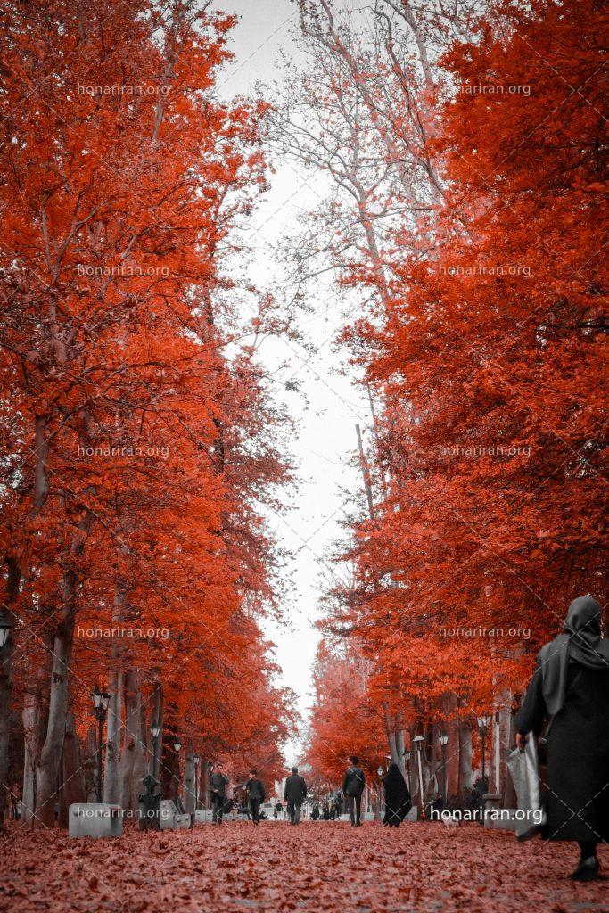 عکس با کیفیت پارک ملت با درختان زیبا به رنگ قرمز