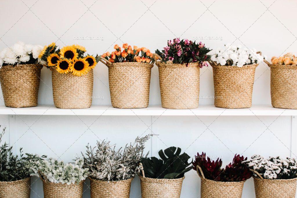 عکس با کیفیت باک های گل بر روی قفسه ها
