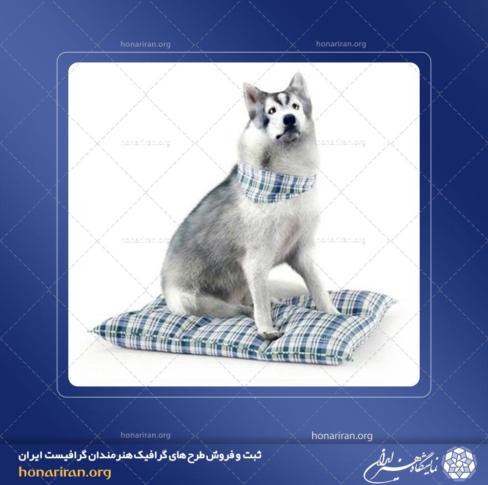 آبجکت یا مدل حیوانات شماره 1