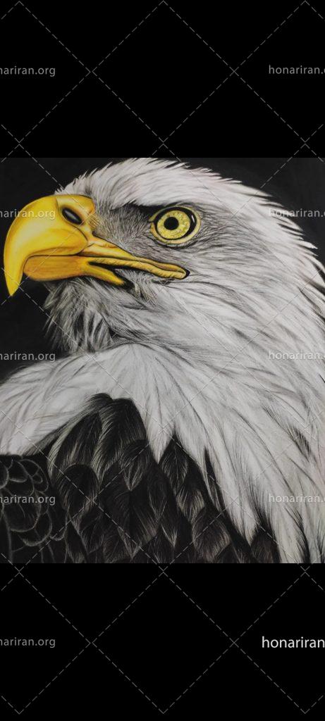 تابلو نقاشی عقاب