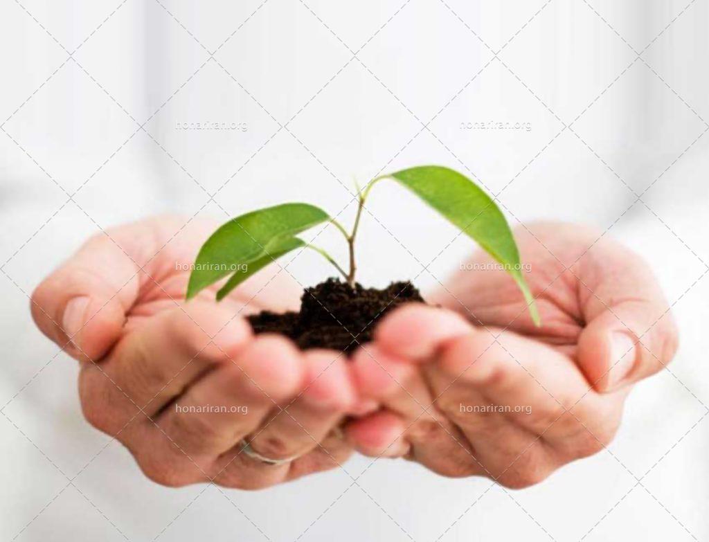 عکس با کیفیت خاک و جوانه گل در دست مرد