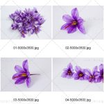 دانلود تصویر پکیج عکس فوق العاده با کیفیت زعفران و گل زعفران JPG