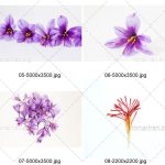 دانلود تصویر پکیج عکس فوق العاده با کیفیت زعفران و گل زعفران JPG