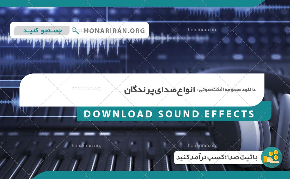 افکت صدا های آواز پرنده ها در دل طبیعت