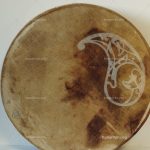 بندیر پوستی سایز 50 برند کورده‌وان