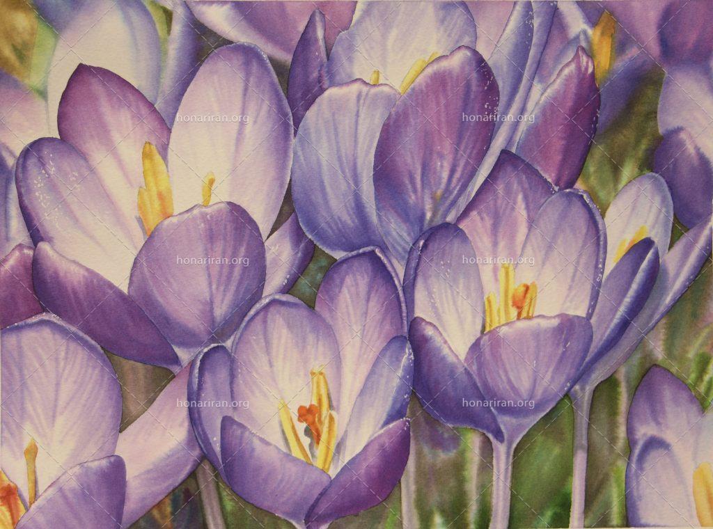 نقاشی آبرنگ گل زعفران