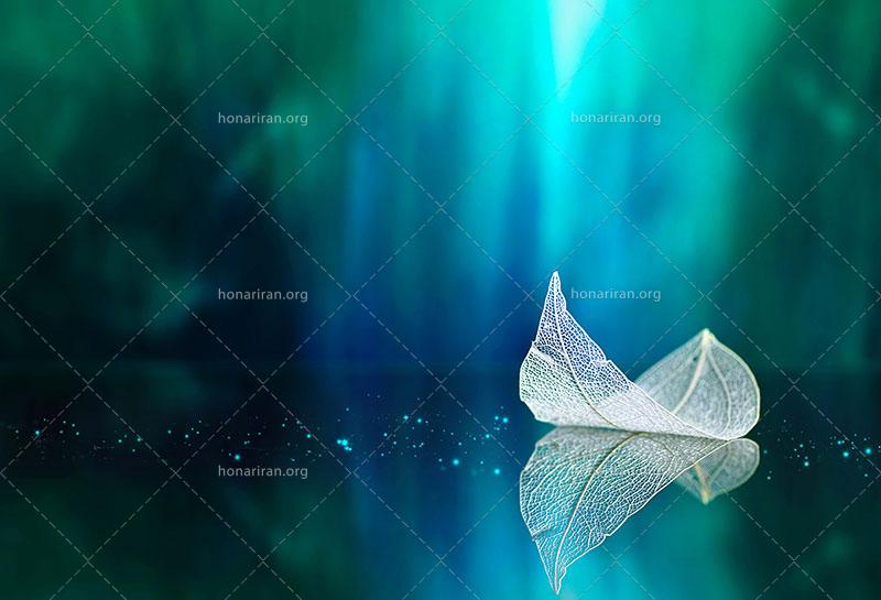 دانلود عکس و تصویر با کیفیت بالا و زیبای برگ شفاف سفید روی سطح آینه با پس زمینه فیروزه ای