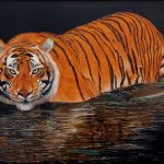 نقاشی سکوت نگاه