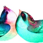فایل لایه باز پرنده در سه رنگ و دوربری شده با فرمت png