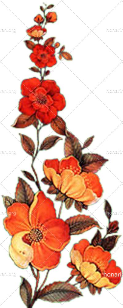 فایل PNG شاخه گل های رز اسلیمی دوربری شده