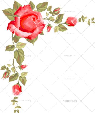 فایل PNG شاخه گل رز دوربری شده کد 19