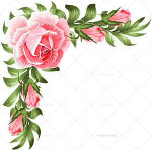 فایل PNG شاخه گل رز دوربری شده کد 18