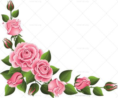 فایل PNG شاخه گل رز دوربری شده کد 27