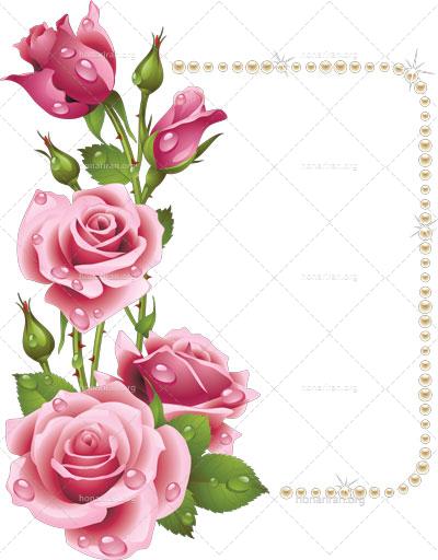 فایل PNG شاخه گل رز دوربری شده کد 31