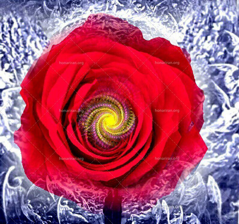 تصویر سازی راز گل سرخ