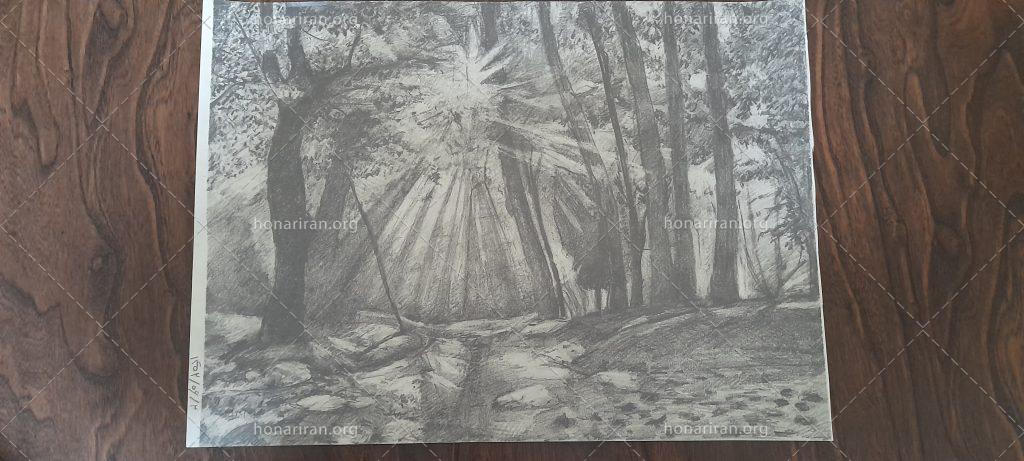 نقاشی نور تابیده در جنگل