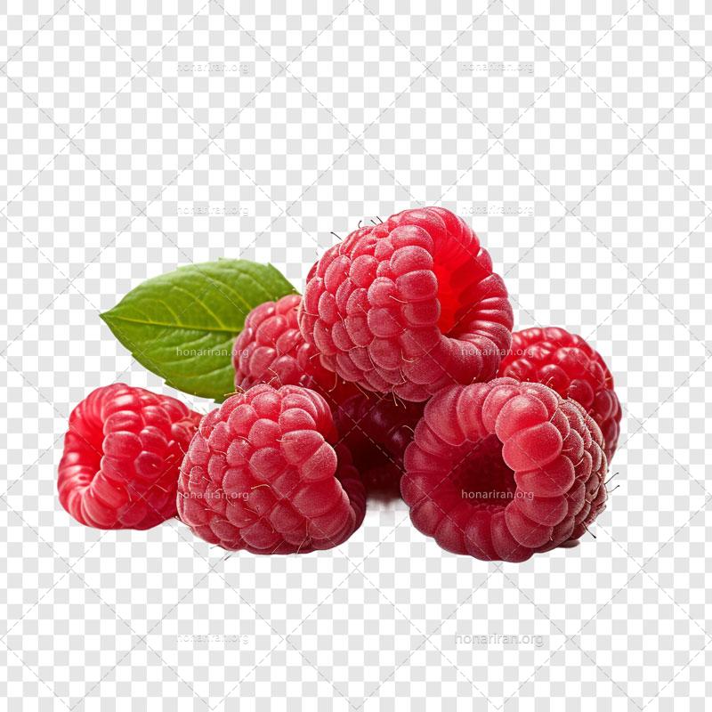 طرح آماده میوه تمشک با بک گراند خالی