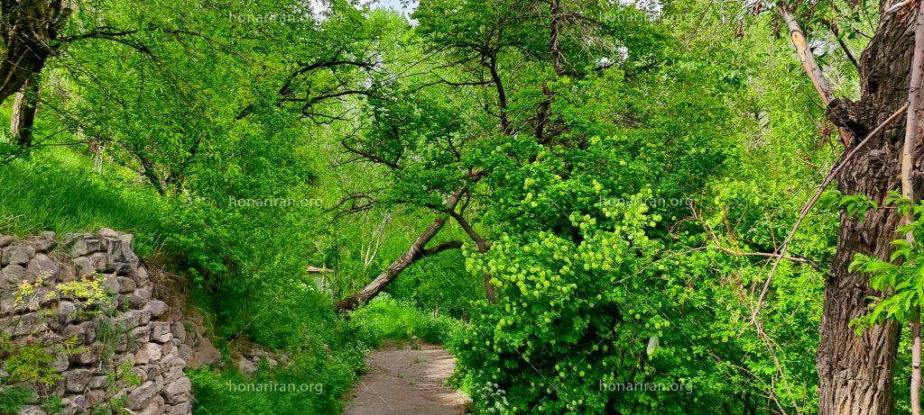 قطعه عکس طبیعت ۱