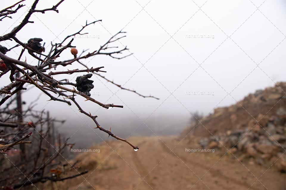 قطعه عکس جاده بارانی