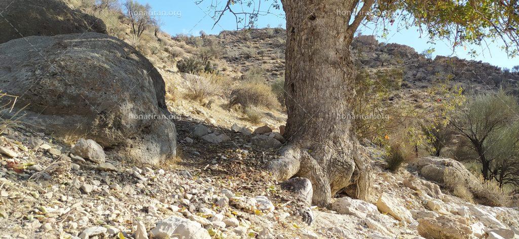 عکاسی از مناظر روستای آبگل