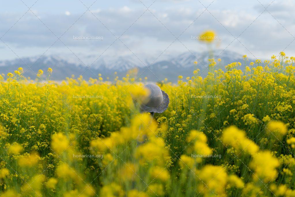 قطعه عکس طبیعت