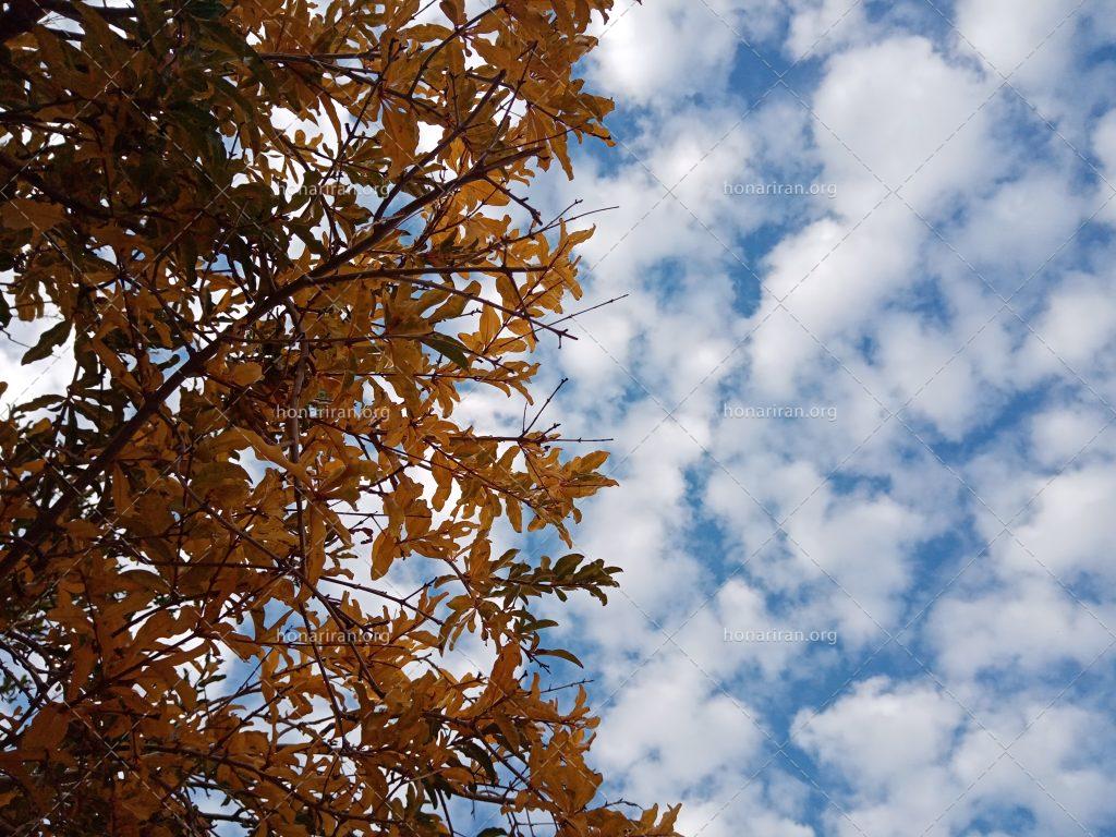 تصویر ترکیب پاییز و آسمان ابری