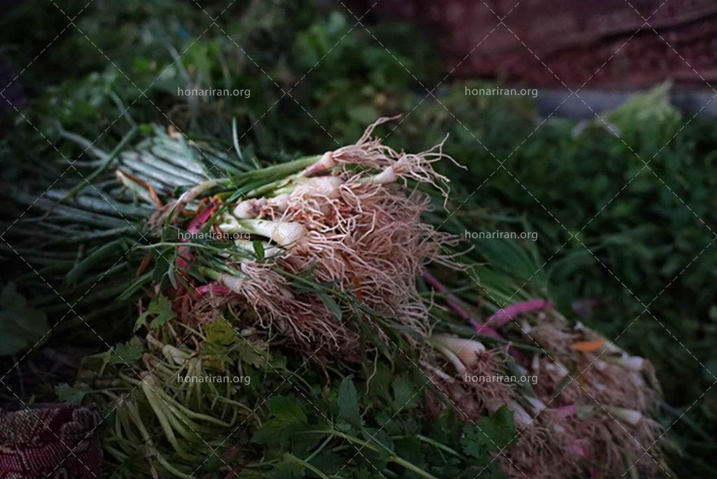 قطعه عکس سبز در سبز