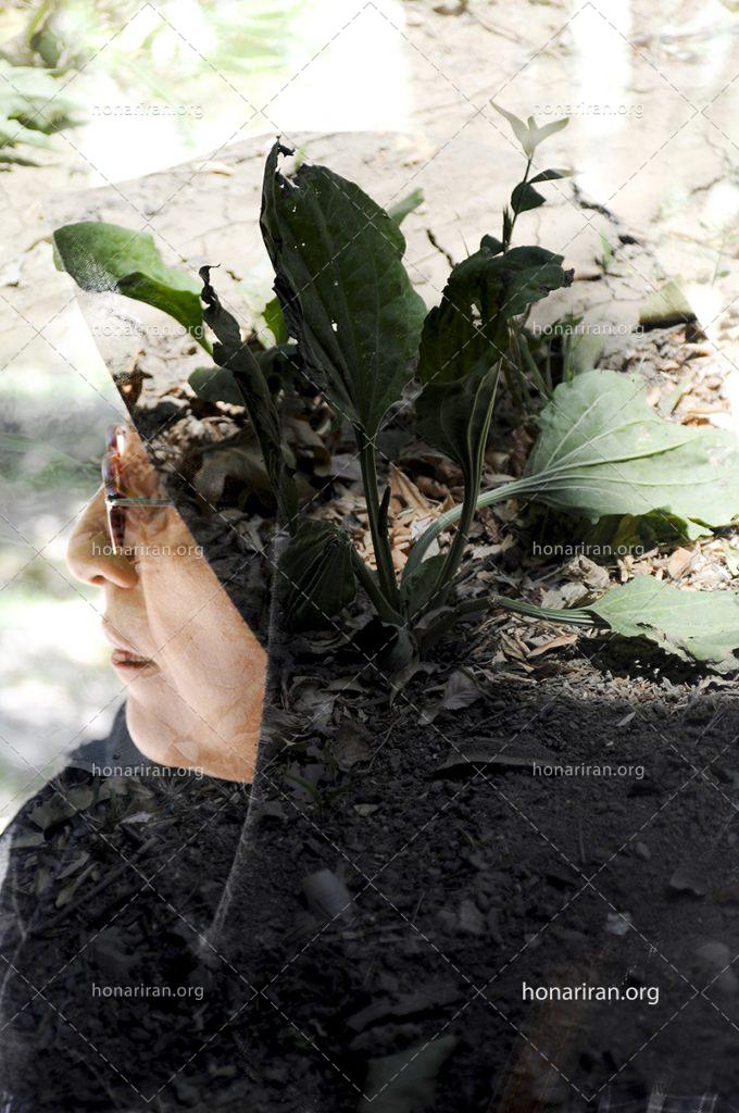 رویای طبیعت – چندنگاره ای از پرتره انسان و گیاهان جنگلی