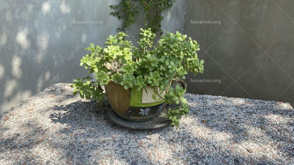 قطعه عکس گل