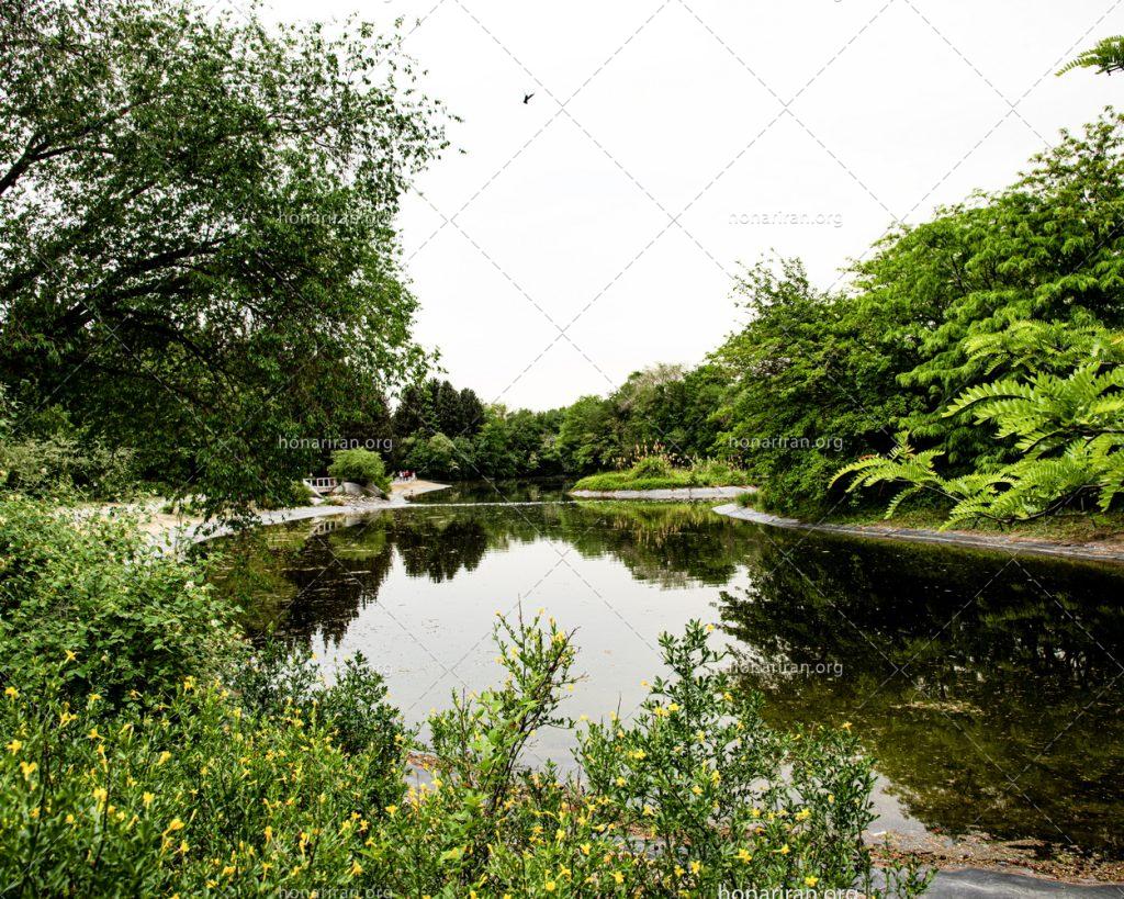 قطعه عکس رنگی دریاچه زیبای تابستانی