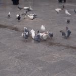 قطعه عکس مذهبی