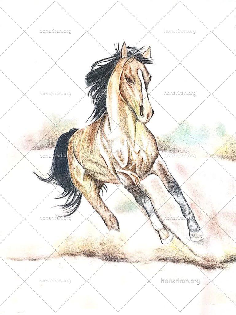 نقاشی مداد رنگی اسب