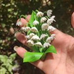 گلسازی و عروسک سازی خمیری