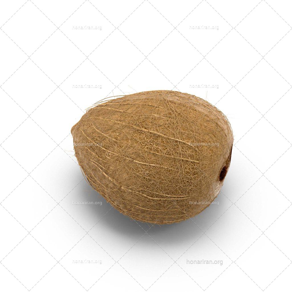 دانلود فایل لایه باز و jpg آبجکت نارگیل