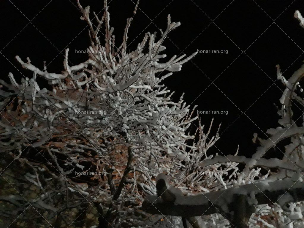 قطعه عکس زمستان