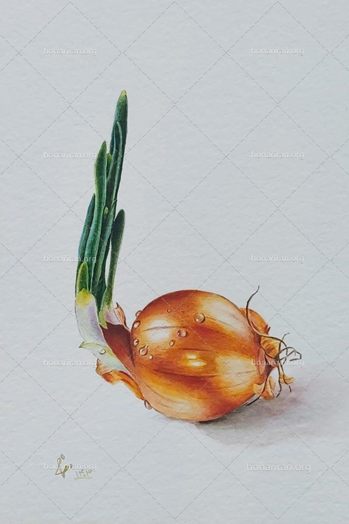 نقاشی آبرنگ پیاز زرد