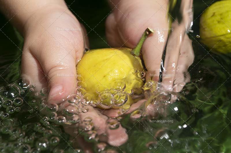 قطعه عکس سری نور و زیبایی ها