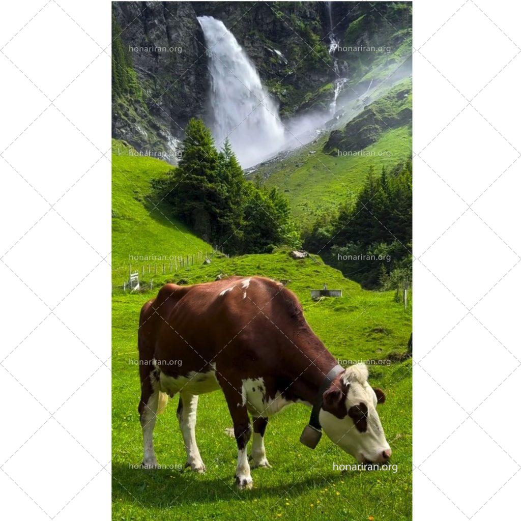 قطعه عکس طبیعت