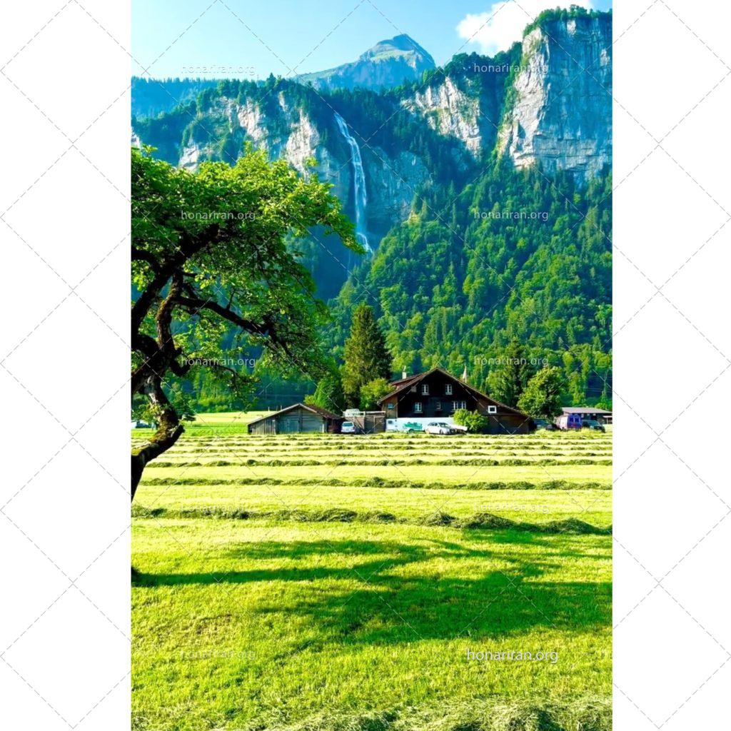 قطعه عکس طبیعت خوشحال با صفا
