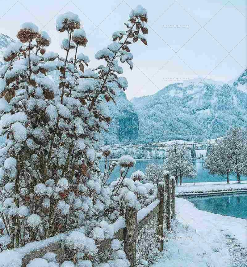 قطعه عکس زمستان