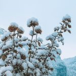 قطعه عکس زمستان
